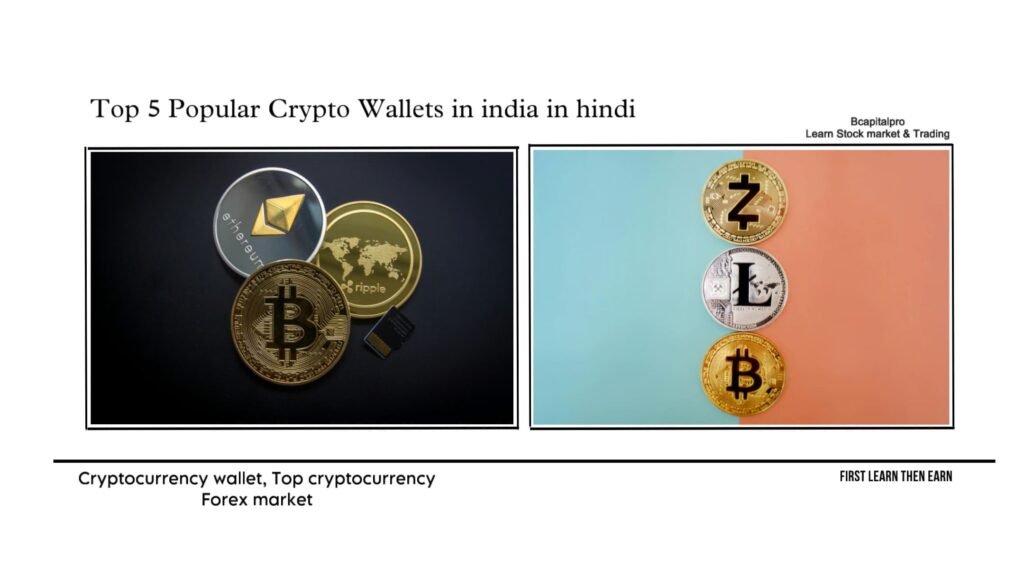 Top 5 Popular Crypto Wallets in india in hindi